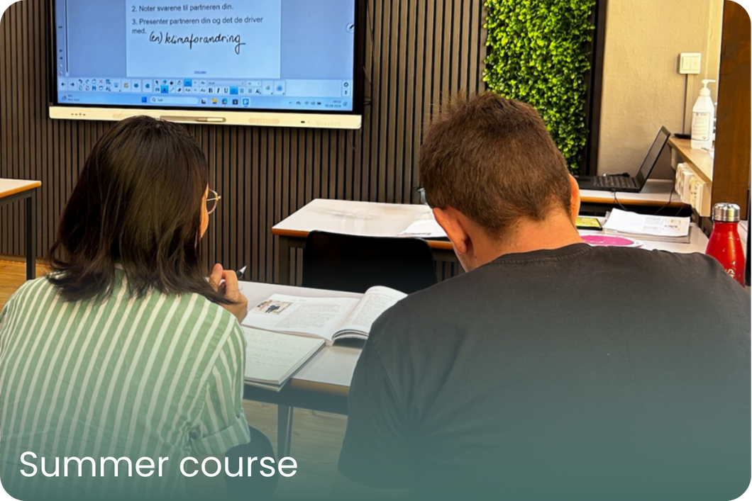 Norwegian summer course