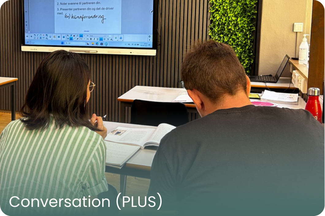 Summer course Conversation (PLUS)